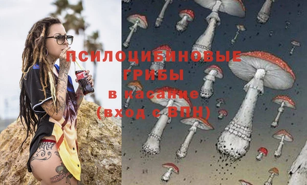 кокс Бородино