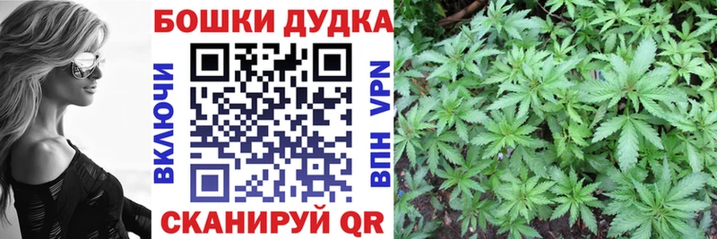 Шишки марихуана семена  Ильский 